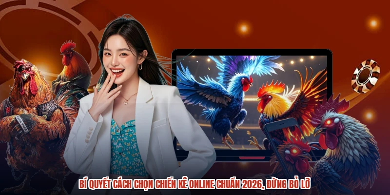 Bí quyết cách chọn chiến kê online chuẩn 2026, đừng bỏ lỡ