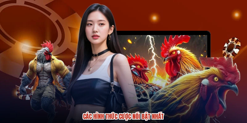 Các hình thức cược nổi bật nhất