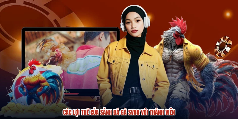 Các lợi thế của sảnh đá gà SV88 với thành viên