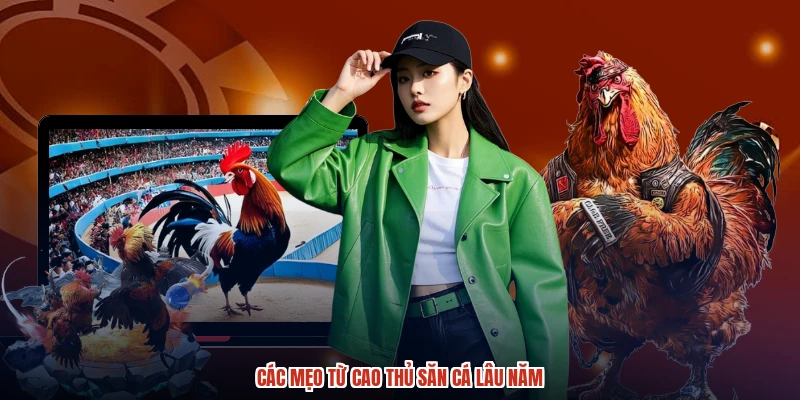 Các mẹo từ cao thủ săn cá lâu năm
