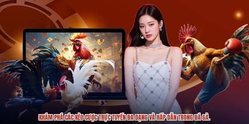 Khám phá các kèo cược trực tuyến đa dạng và hấp dẫn trong đá gà.