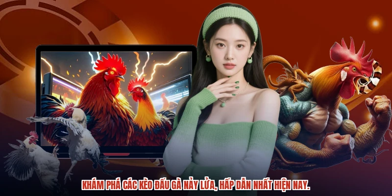 Khám phá các kèo đấu gà nảy lửa, hấp dẫn nhất hiện nay.
