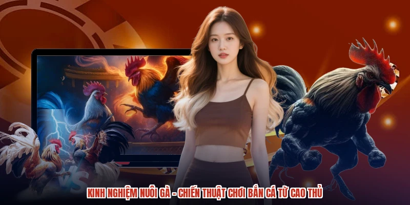 Kinh Nghiệm Nuôi Gà - Chiến Thuật Chơi Bắn Cá Từ Cao Thủ