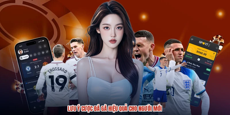 Lưu ý cược đá gà hiệu quả cho người mới