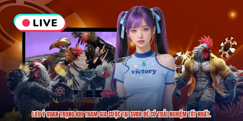 Lưu ý quan trọng khi tham gia cược tại SV88 để có trải nghiệm tốt nhất.