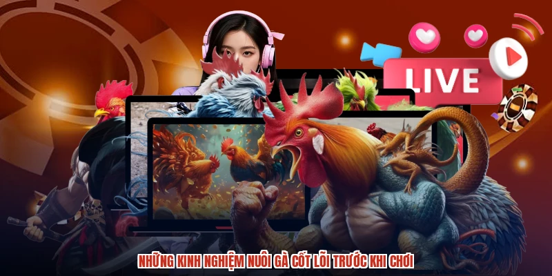 Những kinh nghiệm nuôi gà cốt lõi trước khi chơi