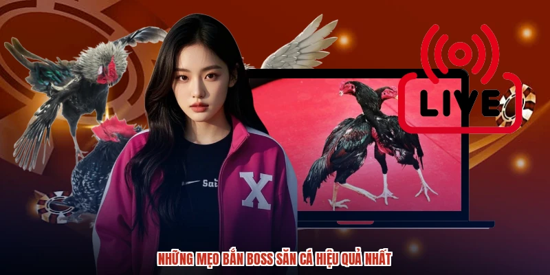 Những mẹo bắn boss săn cá hiệu quả nhất