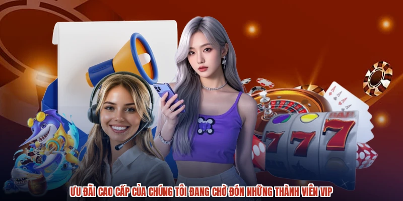 Ưu đãi cao cấp của chúng tôi đang chờ đón những thành viên VIP
