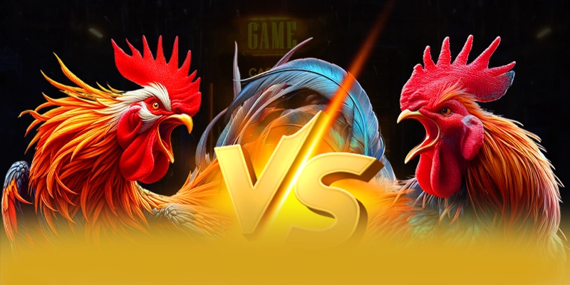 Bảo mật thông tin người dùng tại 8XBET Bảo mật thông tin người dùng tại 8XBET