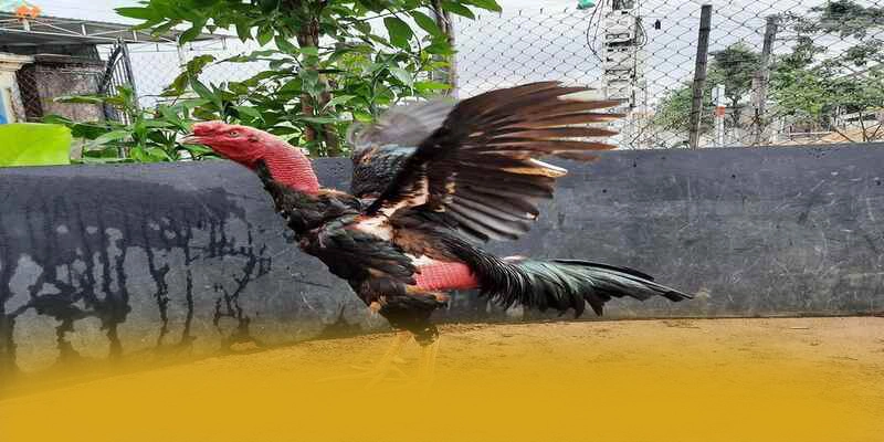 Độ tin cậy dữ liệu cá nhân tại 8XBET