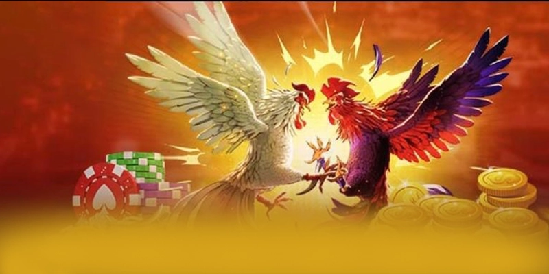 So sánh của BET88 so với các nhà cái khác